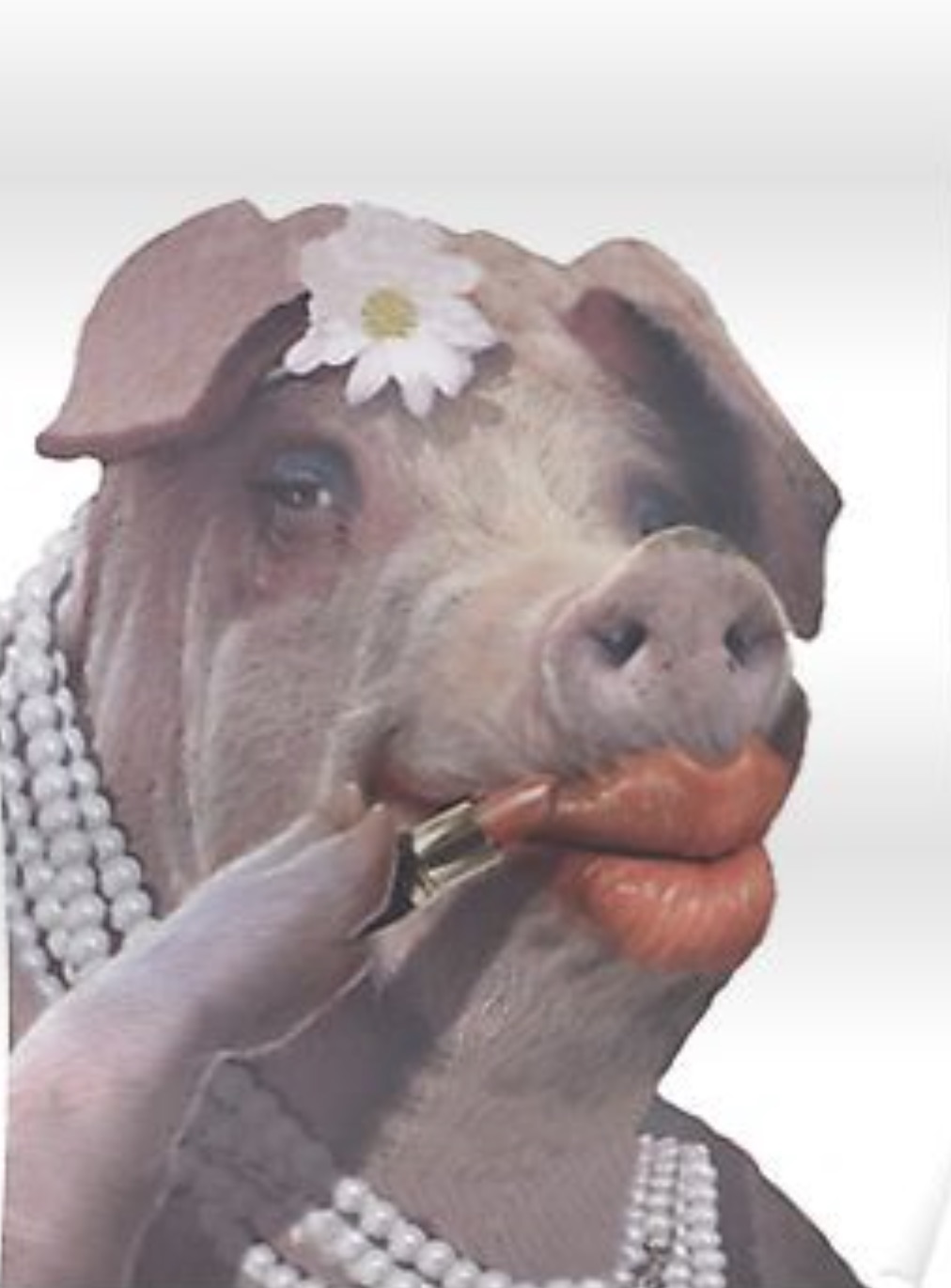 pig with lipstick